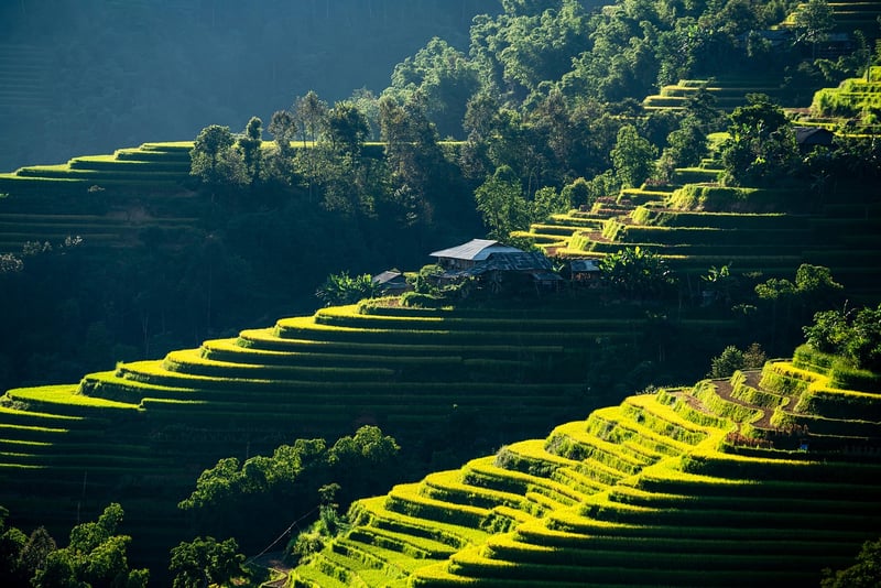 Vintage-Inspired Decor